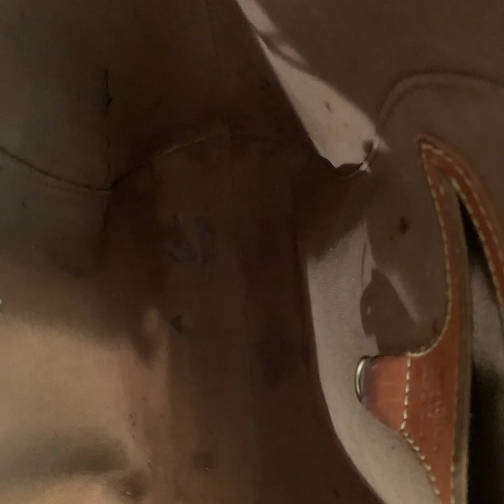 Louis Vuitton Brown and Tan Monogram Bag
